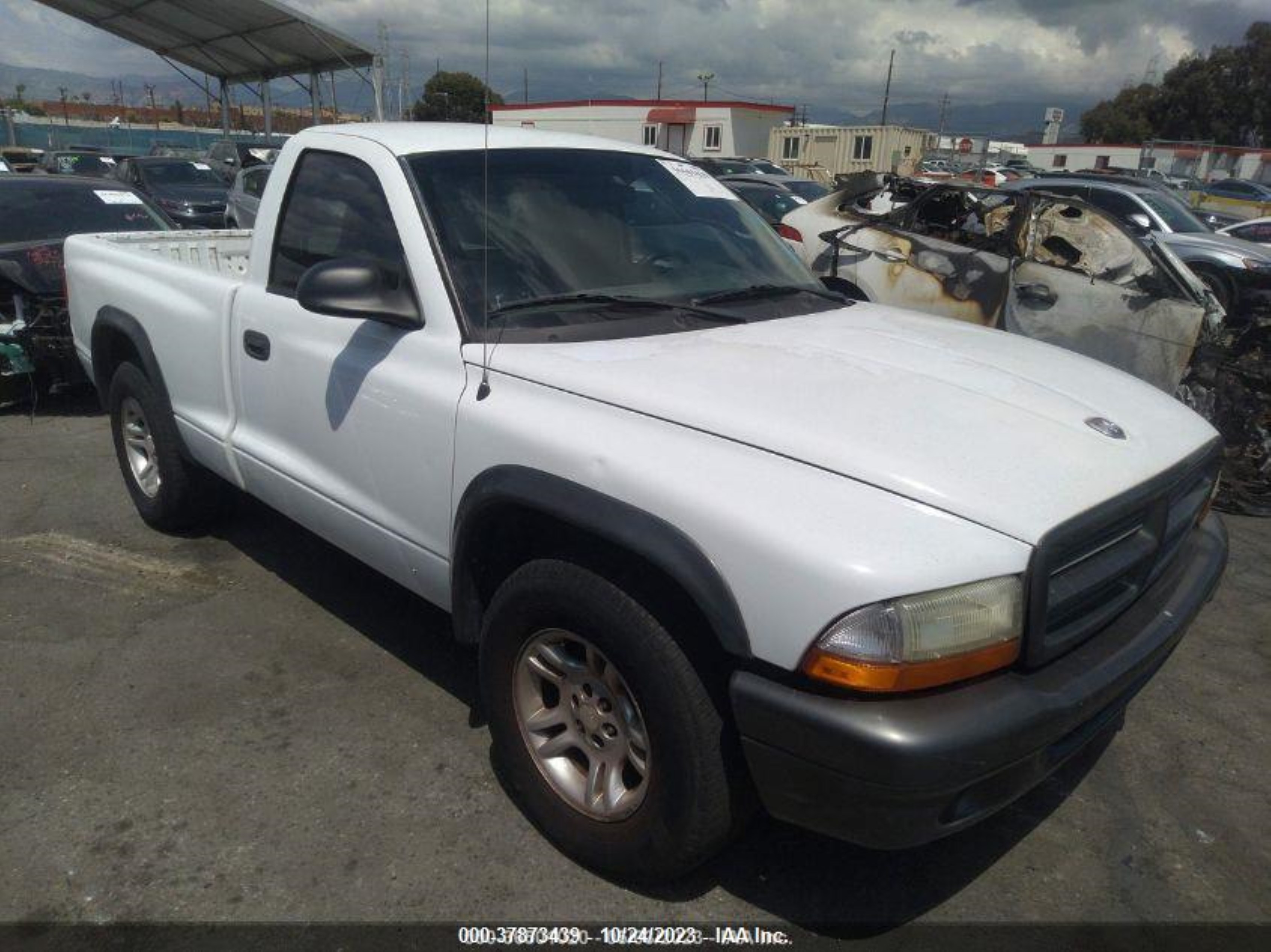 DODGE DAKOTA 2002 1b7fl16x52s571874