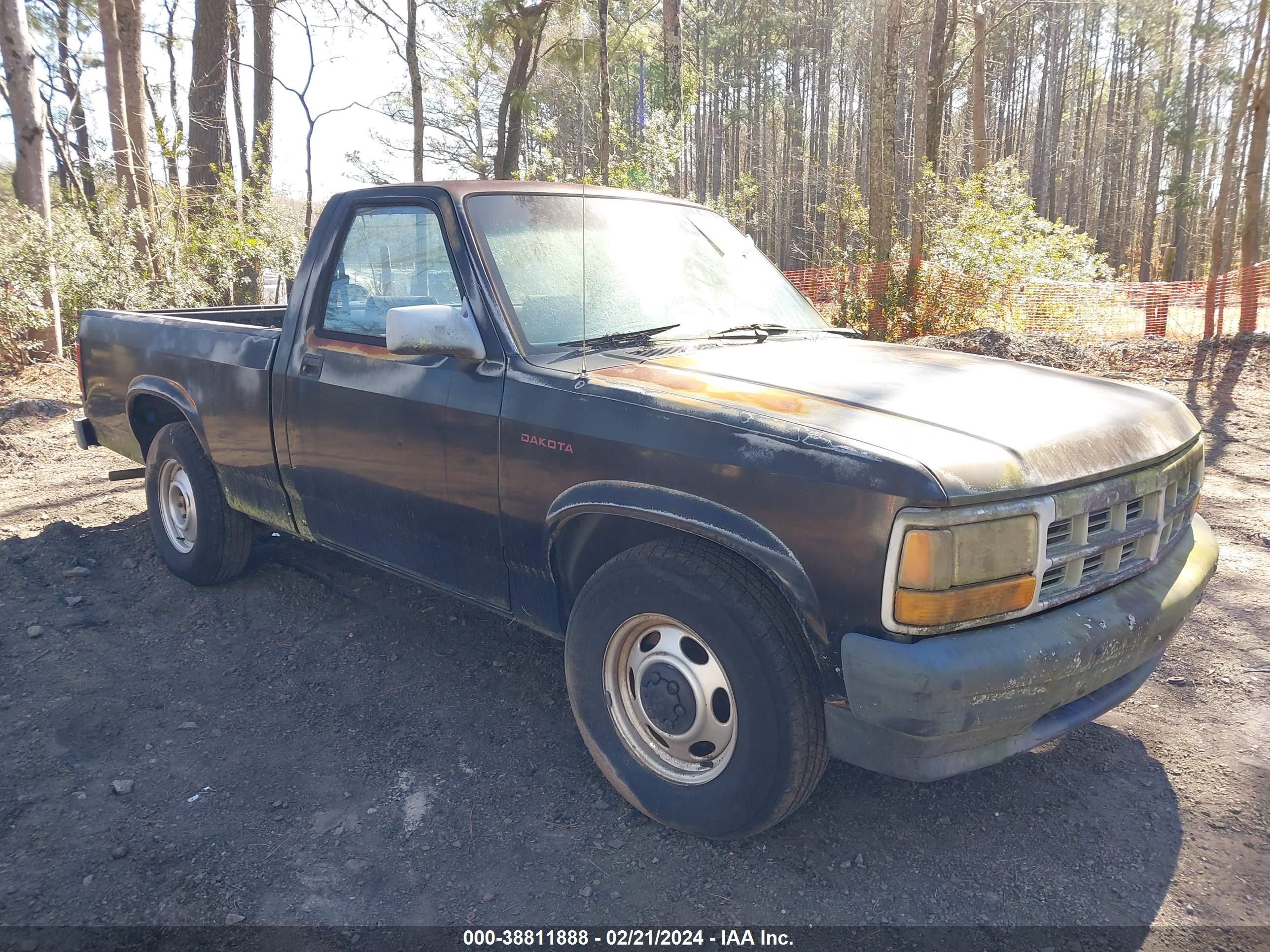 DODGE DAKOTA 1996 1b7fl26p3ts552358