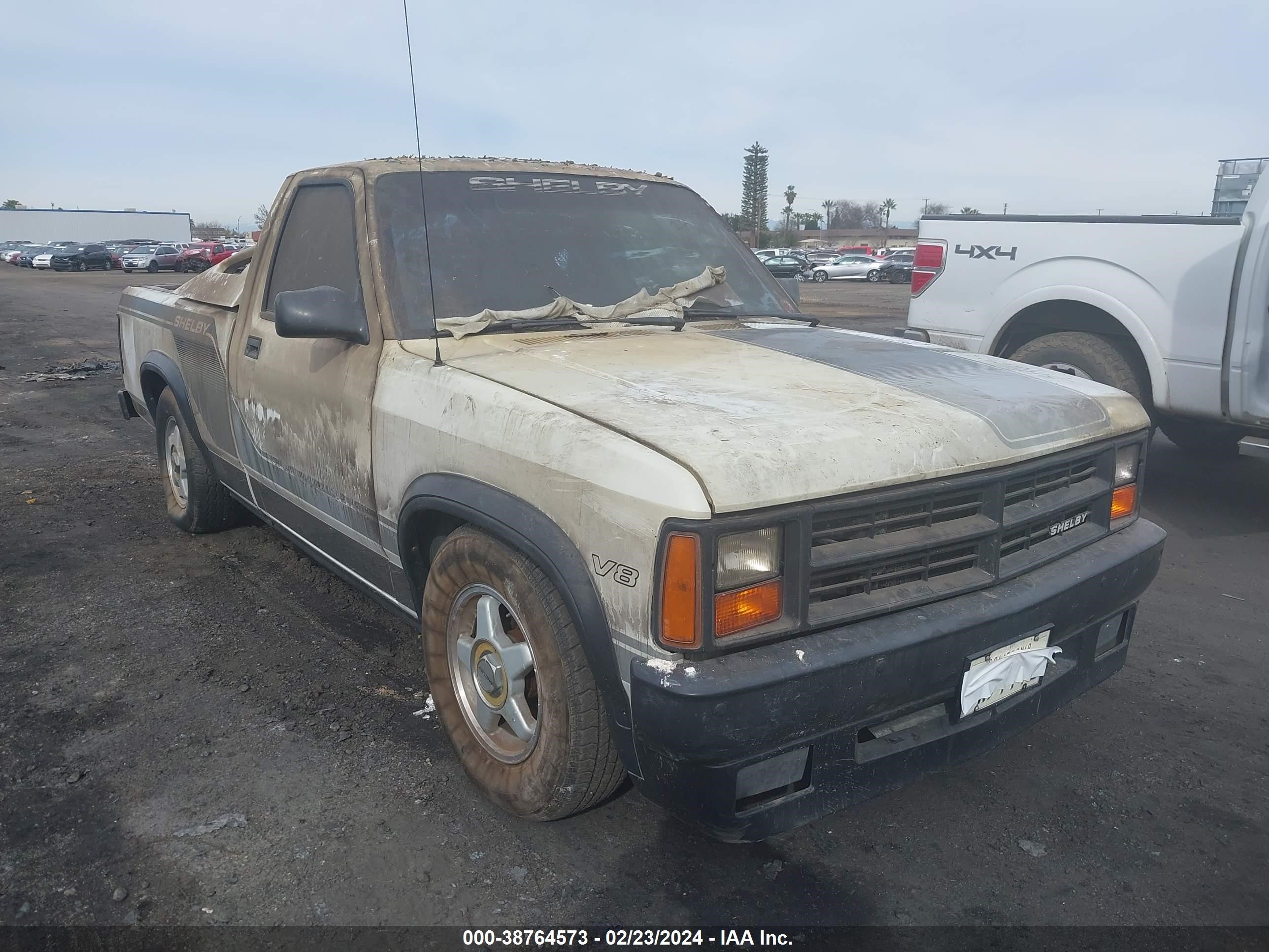 DODGE DAKOTA 1989 1b7fl96y8ks167717