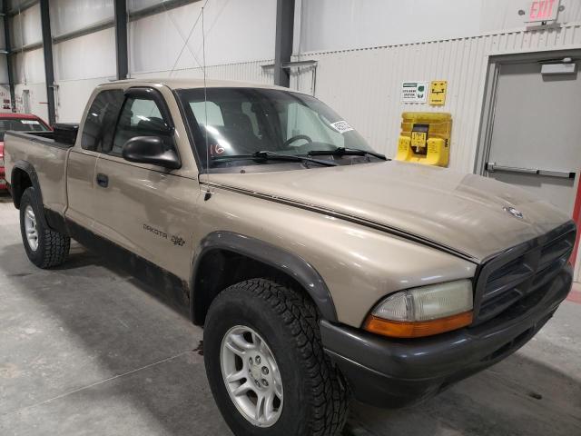 DODGE DAKOTA BAS 2002 1b7gg12x22s715539