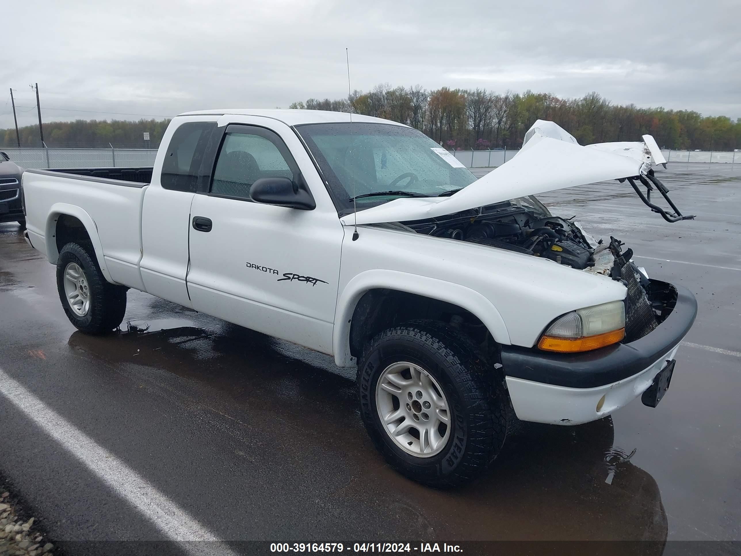 DODGE DAKOTA 2001 1b7gg22x41s271973