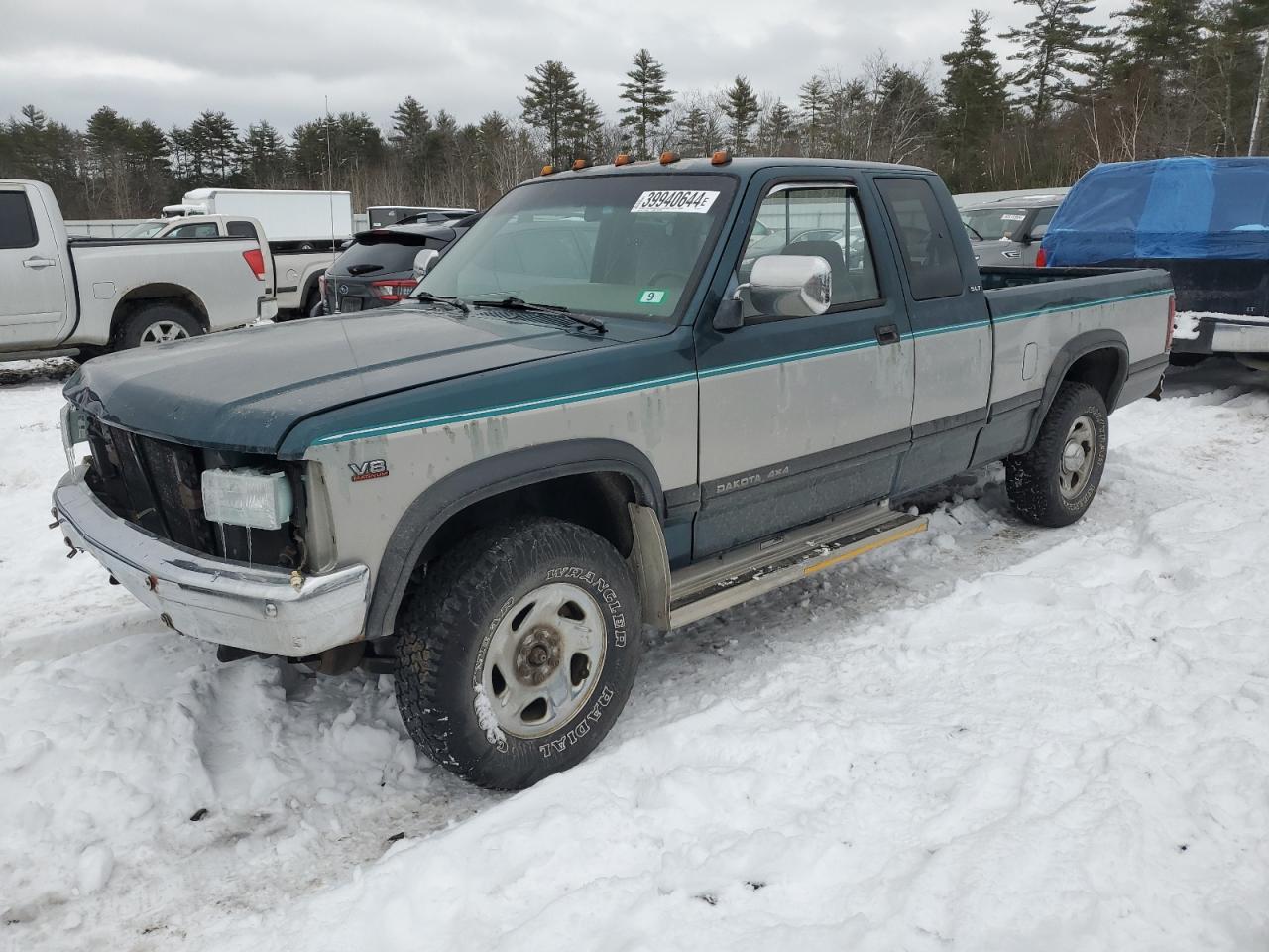 DODGE DAKOTA 1996 1b7gg23y6ts574148