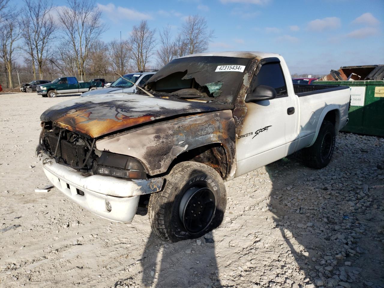 DODGE DAKOTA 1999 1b7gg26yxxs248256