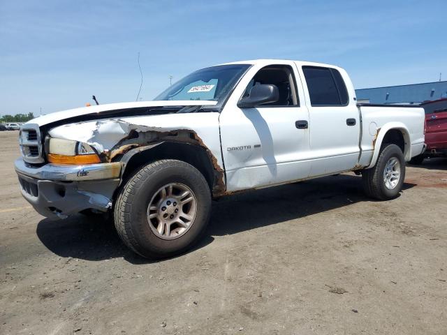 DODGE DAKOTA 2001 1b7gg2an81s206365