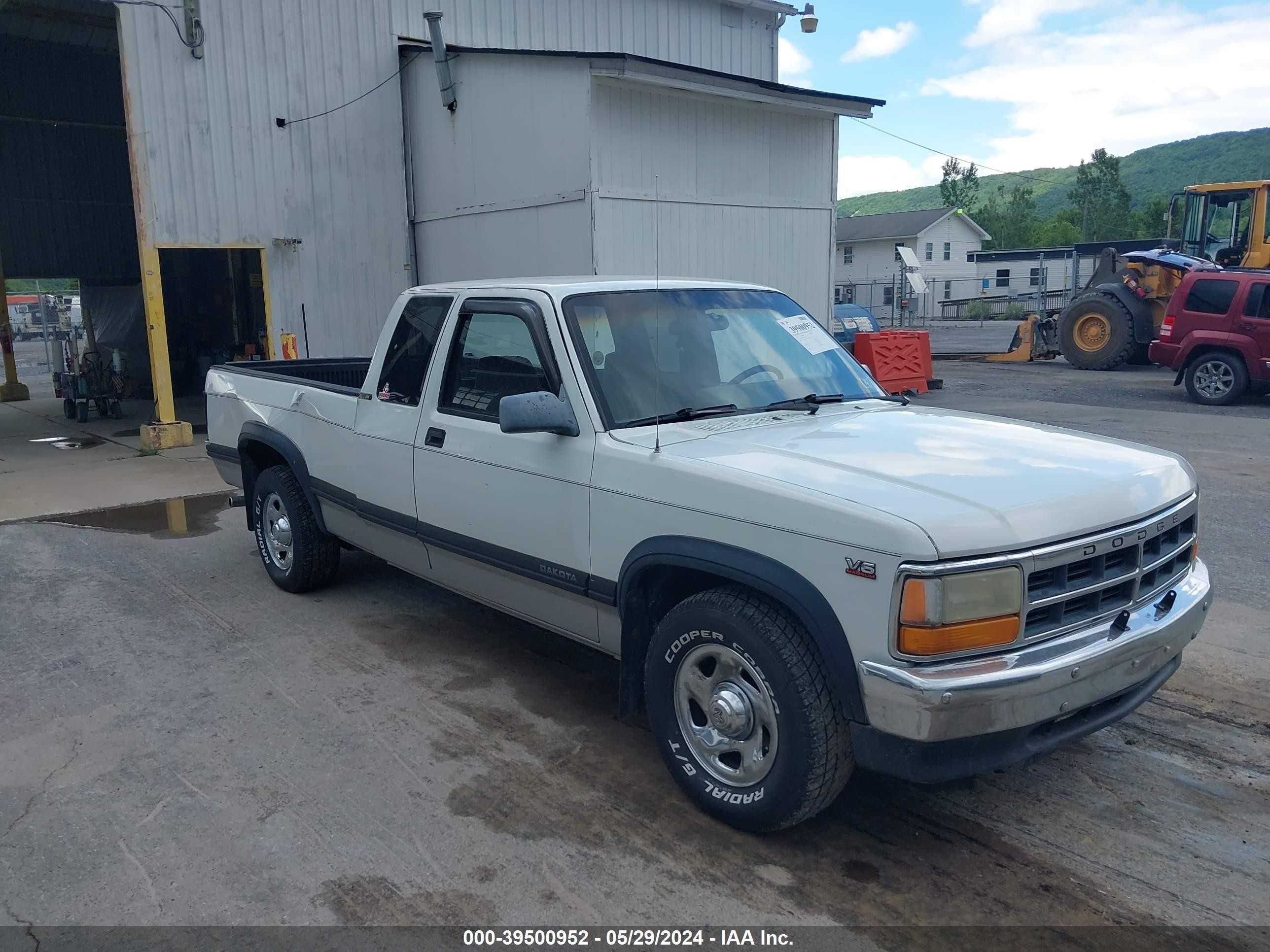 DODGE DAKOTA 1996 1b7gl23x4ts663820