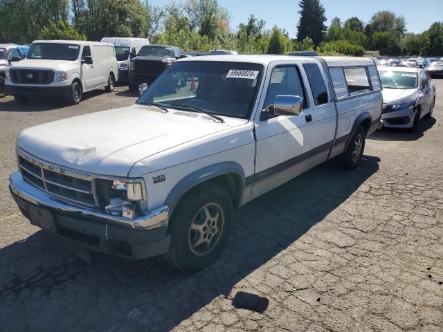 DODGE DAKOTA 1996 1b7gl23y4ts513165