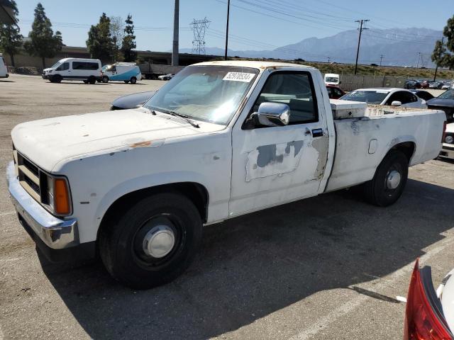 DODGE DAKOTA 1988 1b7gn14x6js775843