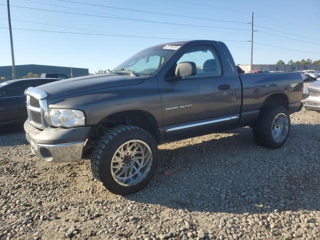 DODGE RAM 1500 2002 1b7ha16n02j118586