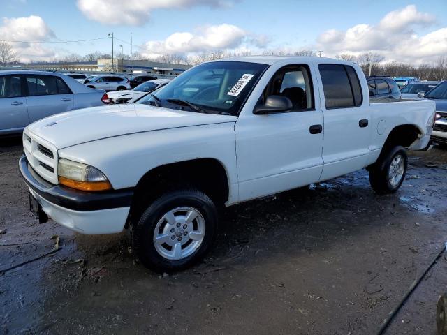 DODGE DAKOTA 2001 1b7hg2anx1s256821