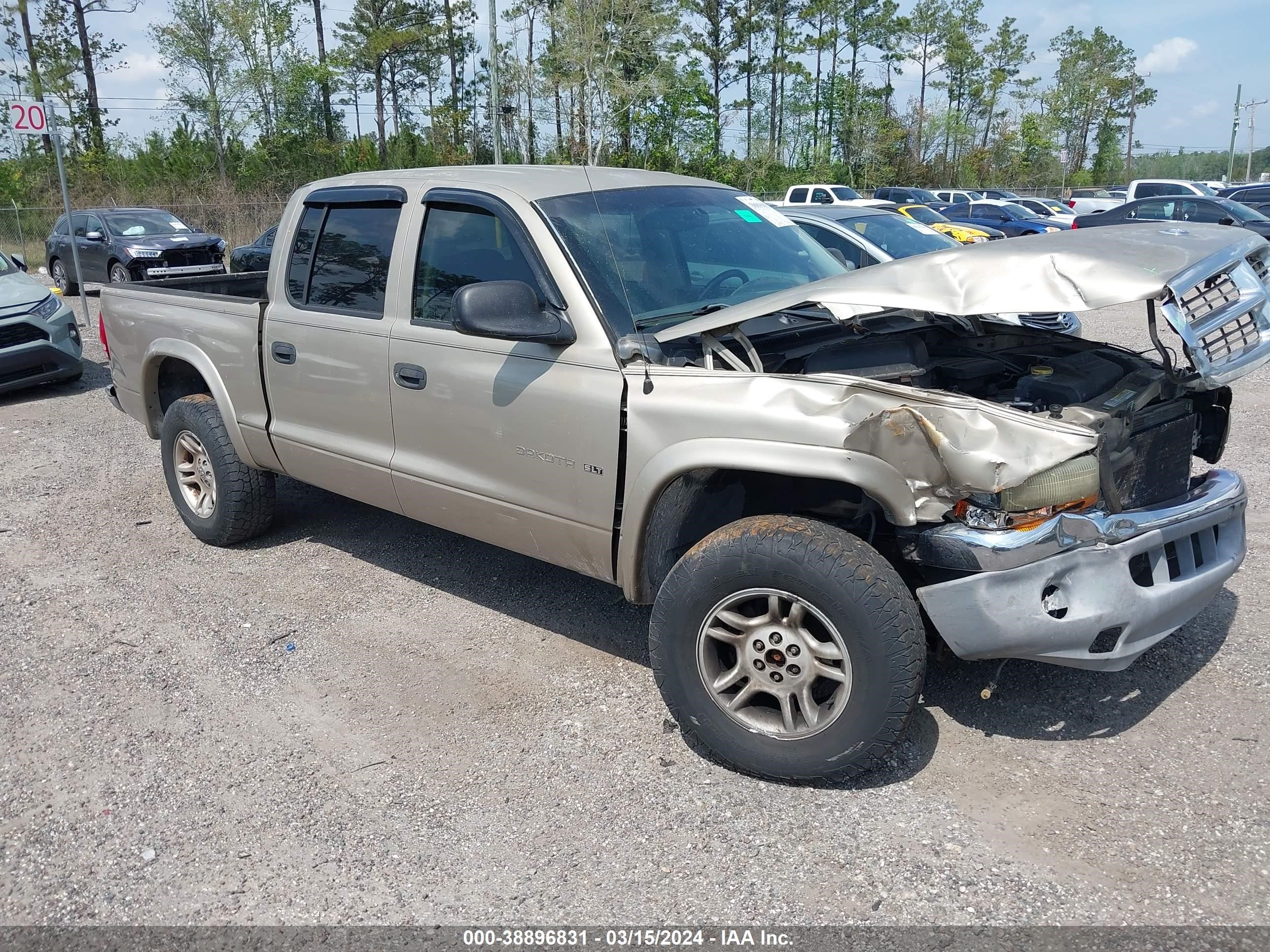 DODGE DAKOTA 2002 1b7hg48n32s645920