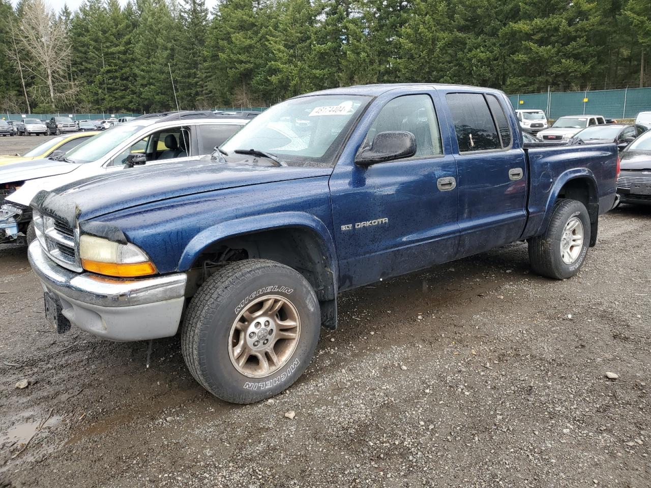 DODGE DAKOTA 2002 1b7hg48n72s653499