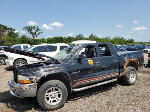 DODGE DAKOTA 2002 1b7hg48n82s570986