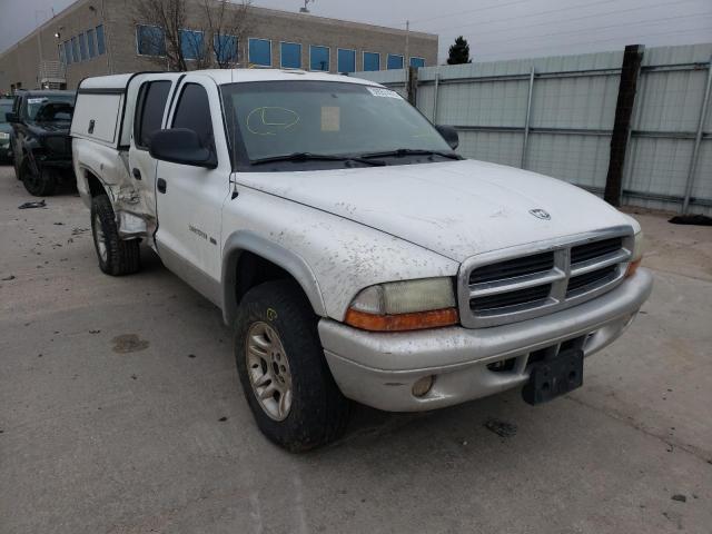 DODGE DAKOTA QUA 2002 1b7hg48z02s622193