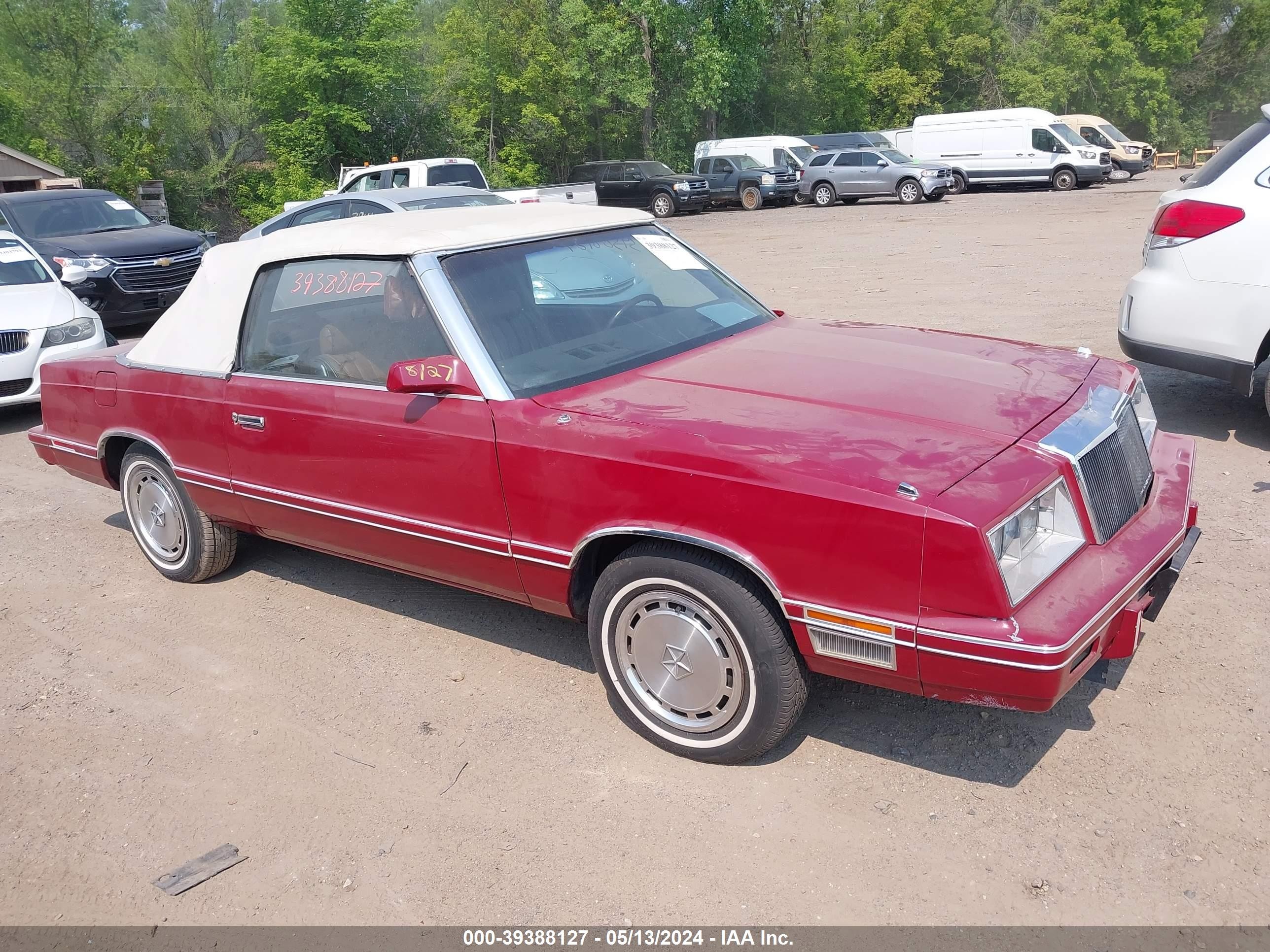 CHRYSLER LE BARON 1982 1c3bc55d1cg161420