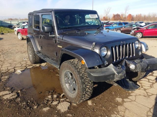 JEEP WRANGLER 2016 1c4bjwdg2gl211208