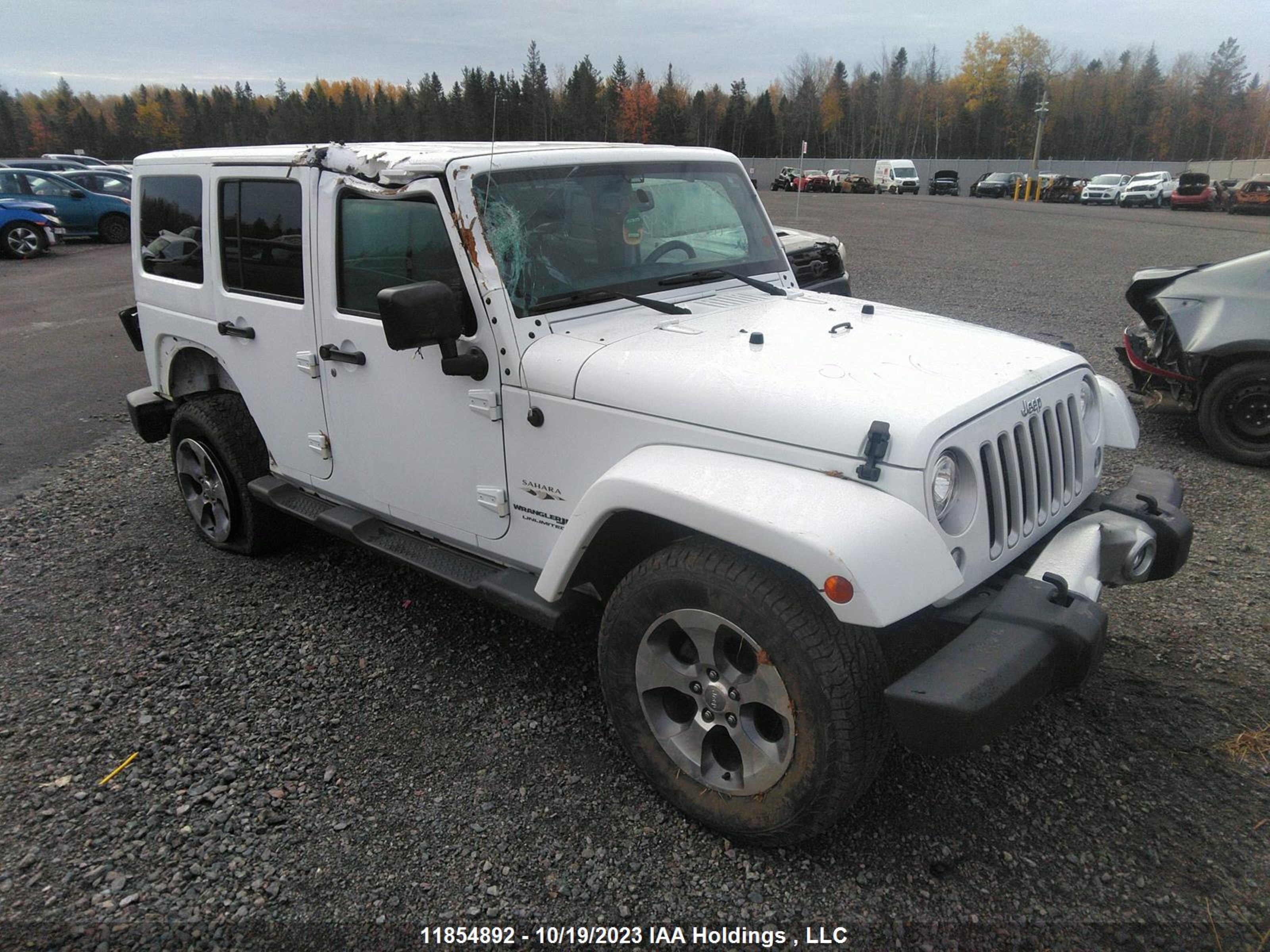 JEEP WRANGLER 2018 1c4bjweg6jl843988