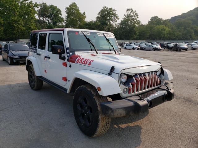 JEEP WRANGLER U 2015 1c4bjwegxfl697506