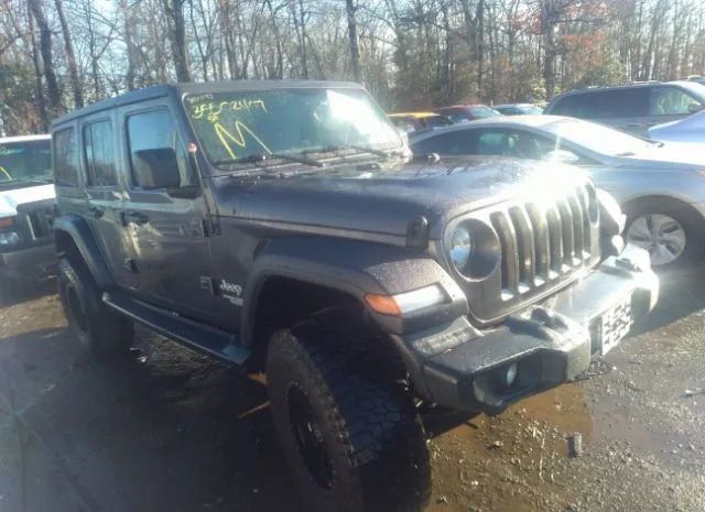 JEEP WRANGLER UNLIMITED 2018 1c4hjxdn3jw252631