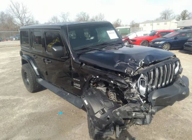 JEEP WRANGLER 2018 1c4hjxeg1jw250229