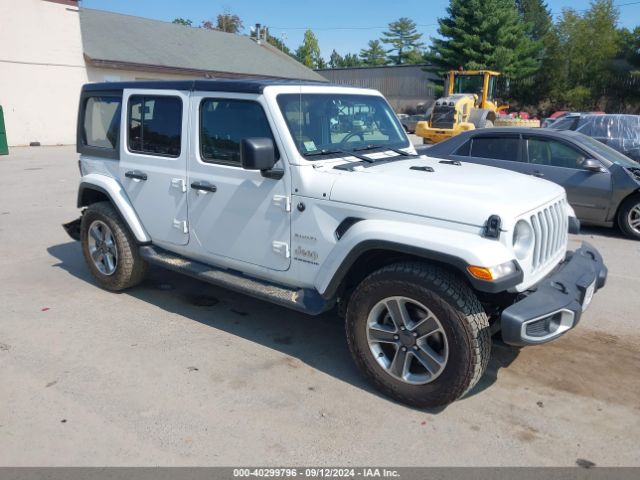 JEEP WRANGLER 2023 1c4hjxeg2pw531061