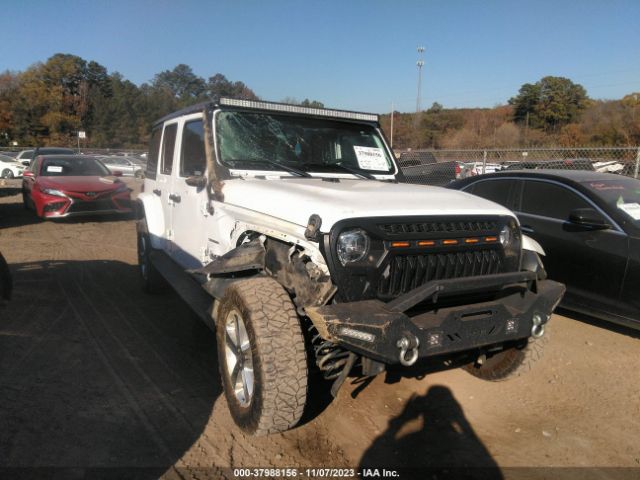 JEEP WRANGLER UNLIMITED 2019 1c4hjxeg4kw599290