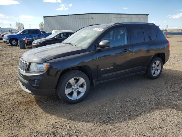 JEEP COMPASS 2012 1c4njdab0cd506810