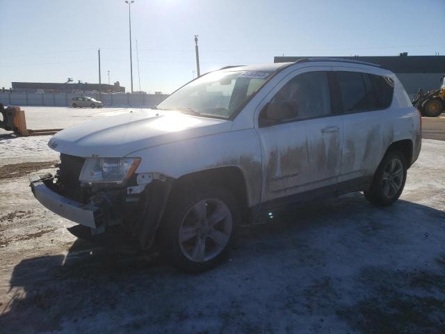 JEEP COMPASS 2013 1c4njdab1dd259685