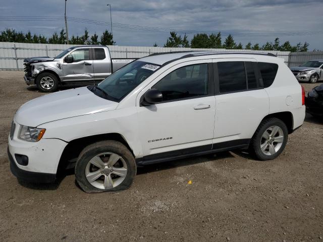 JEEP COMPASS 2012 1c4njdab2cd624065