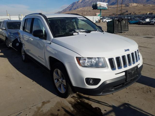 JEEP NULL 2014 1c4njdbb1ed772824