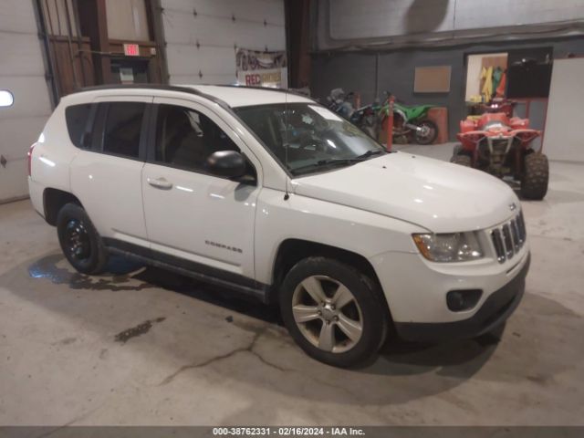 JEEP COMPASS 2013 1c4njdbb9dd207638