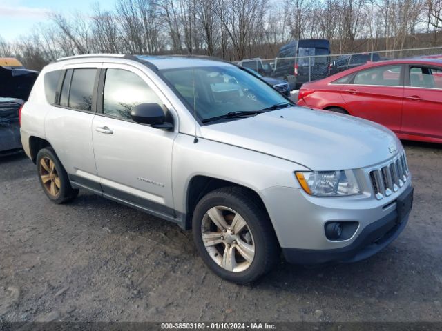 JEEP COMPASS 2013 1c4njdeb0dd280473