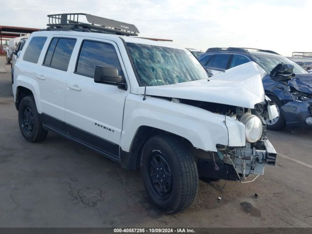 JEEP PATRIOT 2017 1c4njpba5hd118194