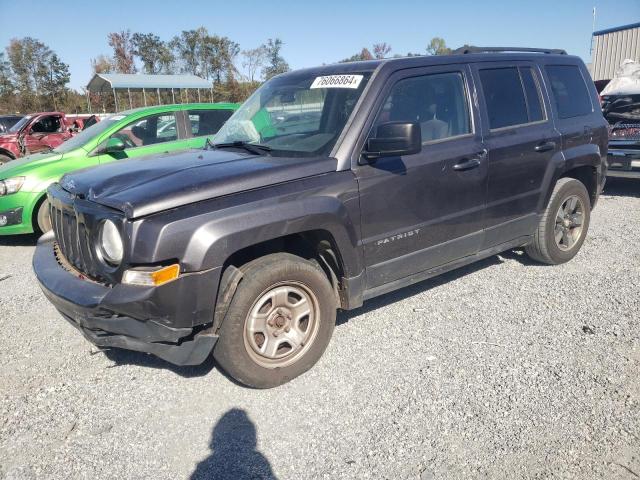 JEEP PATRIOT SP 2015 1c4njpbb1fd296464