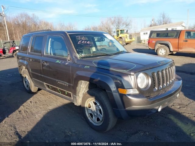 JEEP PATRIOT 2016 1c4njpbb8gd699388