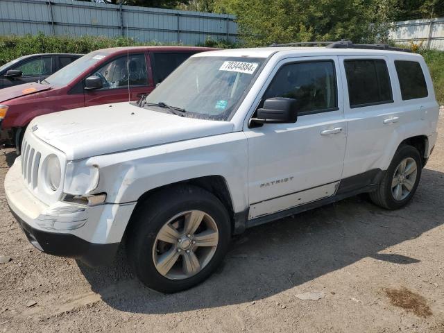 JEEP PATRIOT LA 2013 1c4njpfa9dd109549