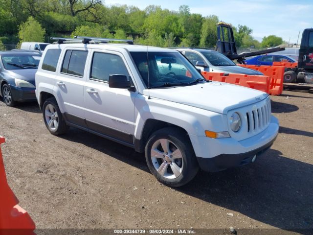 JEEP PATRIOT 2015 1c4njpfb0fd361959