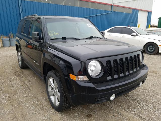 JEEP PATRIOT 2014 1c4njrab2ed608013