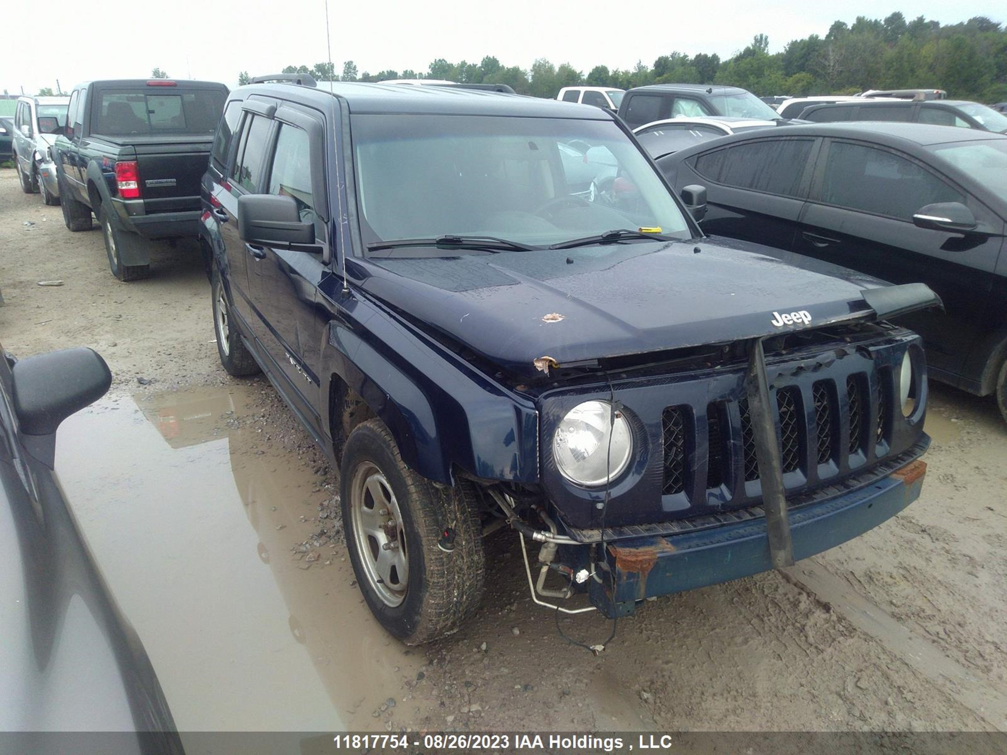 JEEP LIBERTY (PATRIOT) 2014 1c4njrab3ed564703