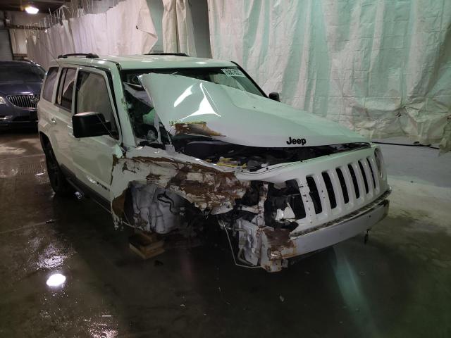 JEEP PATRIOT SP 2015 1c4njrbb3fd207909