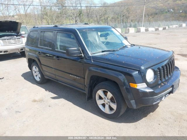 JEEP PATRIOT 2013 1c4njrcb3dd249699