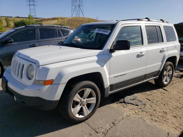 JEEP PATRIOT LI 2014 1c4njrcb6ed802217