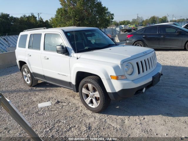 JEEP PATRIOT 2015 1c4njrfb0fd239887