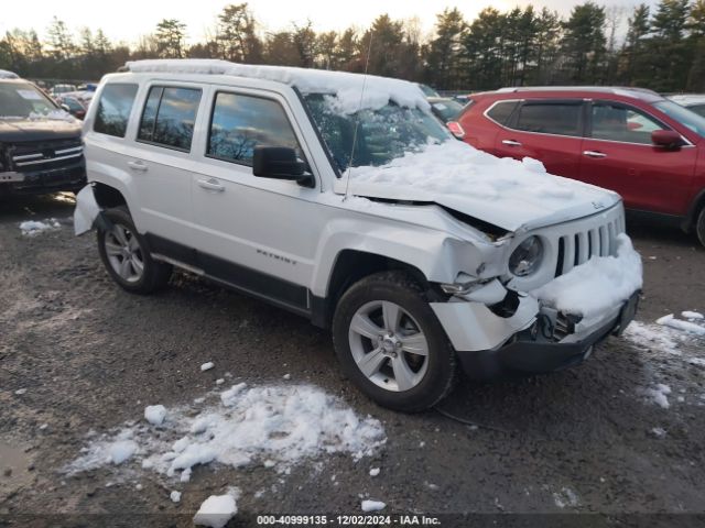 JEEP PATRIOT 2016 1c4njrfb0gd672370