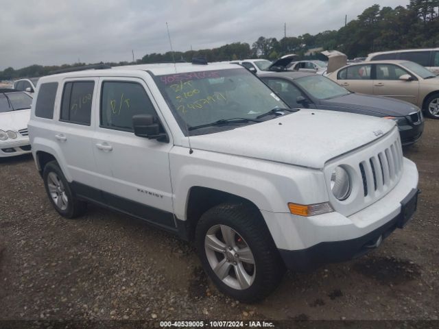 JEEP PATRIOT 2015 1c4njrfb6fd376137