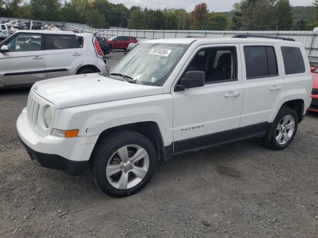 JEEP PATRIOT LA 2014 1c4njrfb9ed513036