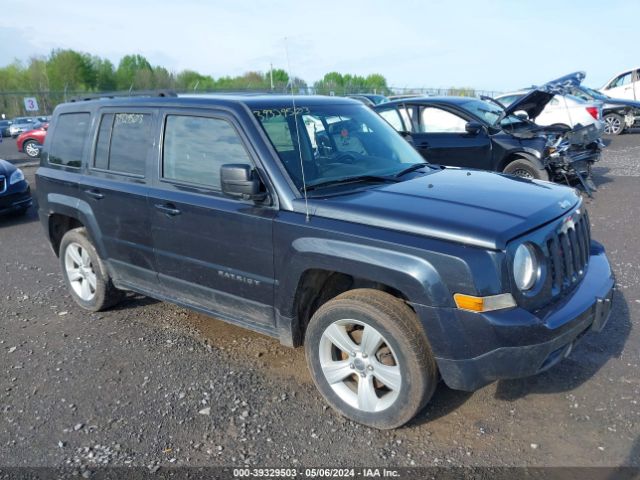 JEEP PATRIOT 2014 1c4njrfb9ed908513