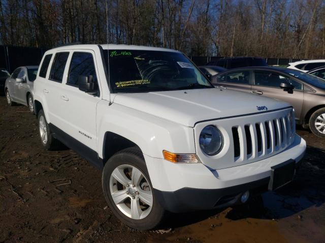 JEEP PATRIOT 2016 1c4njrfbxgd738990