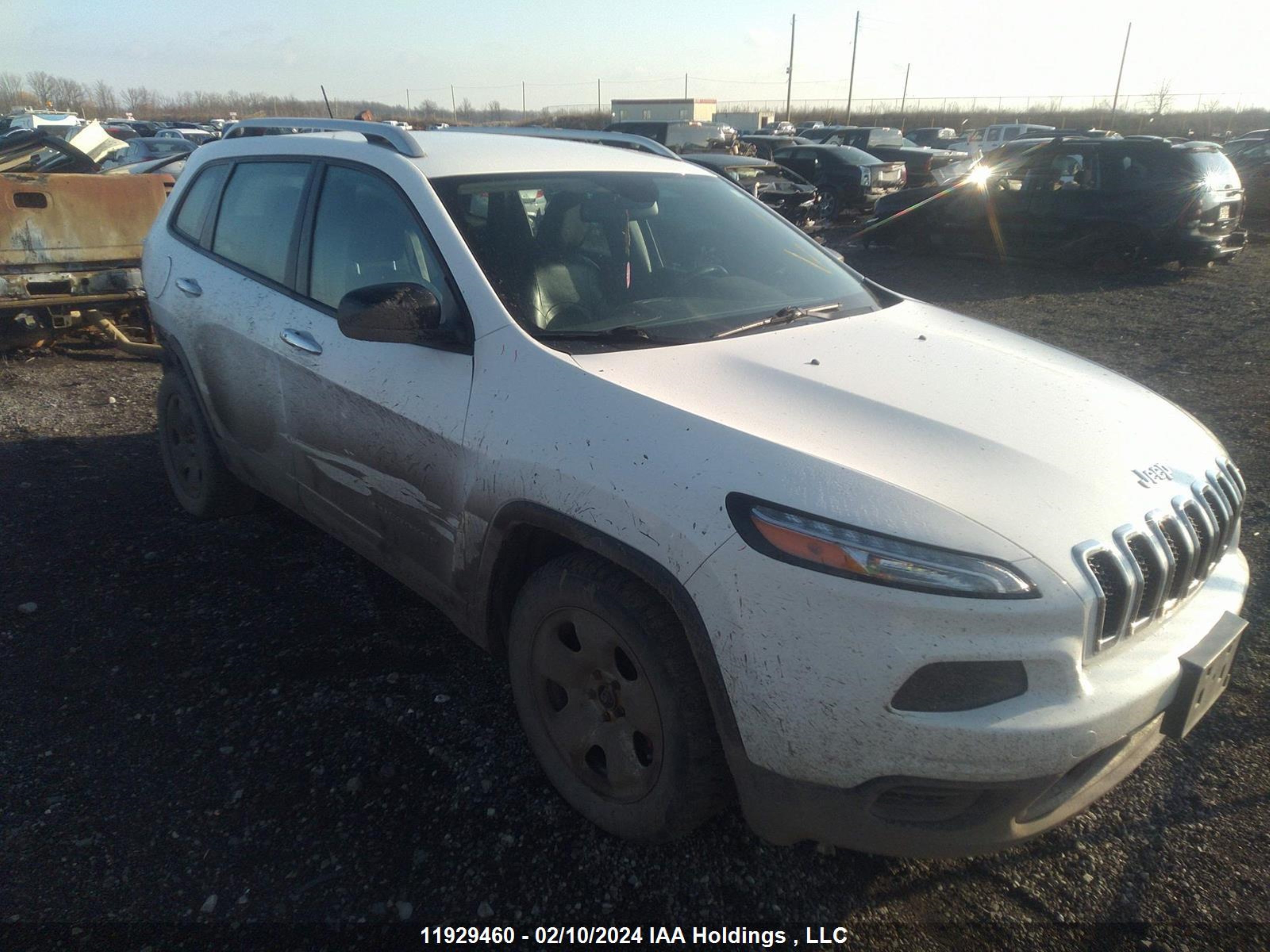 JEEP CHEROKEE 2015 1c4pjlab0fw559910