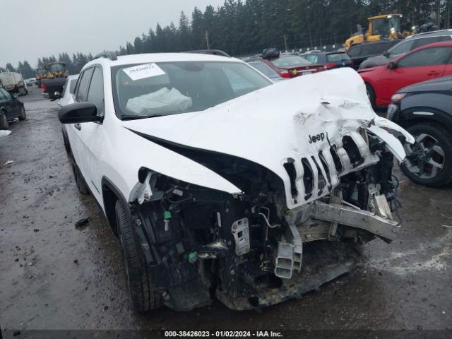 JEEP CHEROKEE 2017 1c4pjlab1hd225013