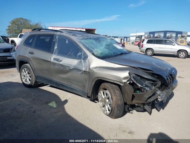 JEEP CHEROKEE 2017 1c4pjlabxhw641307